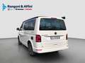 Volkswagen T6.1 California Ocean 2.0 TDI 150 CV DSG Alb - thumbnail 10