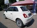Fiat 500 1.0 Hybrid Blanco - thumbnail 5