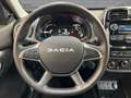 Dacia Spring ESSENTIEL UPE:24.300,- inkl.Batterie Grau - thumbnail 11