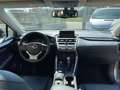Lexus NX 300 h 2.5 Executive 4wd cvt SERVICE LEXUS PANORAMA IVA Grigio - thumbnail 11