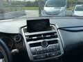 Lexus NX 300 h 2.5 Executive 4wd cvt SERVICE LEXUS PANORAMA IVA Gris - thumbnail 14