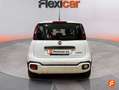 Fiat Panda City Cross 1.0 Gse 51kw (70CV) Blanco - thumbnail 4