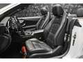 Mercedes-Benz C 63 AMG Cabriolet V8 Bianco - thumbnail 9