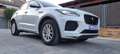 Jaguar E-Pace 2.0D I4 R-Dynamic Base AWD Aut. 150 Blanco - thumbnail 27