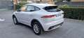 Jaguar E-Pace 2.0D I4 R-Dynamic Base AWD Aut. 150 Blanco - thumbnail 8