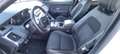 Jaguar E-Pace 2.0D I4 R-Dynamic Base AWD Aut. 150 Weiß - thumbnail 12