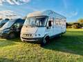 Hymer/Eriba 655 StarLine Mercedes Benz 2,7l 5 Zylinder Weiß - thumbnail 5