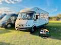 Hymer/Eriba 655 StarLine Mercedes Benz 2,7l 5 Zylinder Weiß - thumbnail 2
