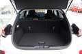 Ford Puma Titanium 1.0EcoB MHEV 4,99% FIN* GjR Weiß - thumbnail 11