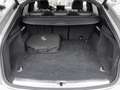 Audi Q5 Sportback 55 2.0 TFSI e quattro S tronic Grau - thumbnail 19