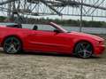 Ford Mustang Czerwony - thumbnail 7