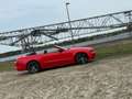 Ford Mustang Rouge - thumbnail 5