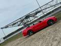 Ford Mustang Red - thumbnail 6