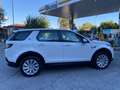 Land Rover Discovery Sport Discovery Sport I 2.0d ed4 fwd 150cv BLACK FRIDAY Bianco - thumbnail 6