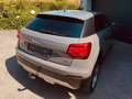 Audi Q2 Q2 1,6 TDI Sport Sport Grau - thumbnail 2