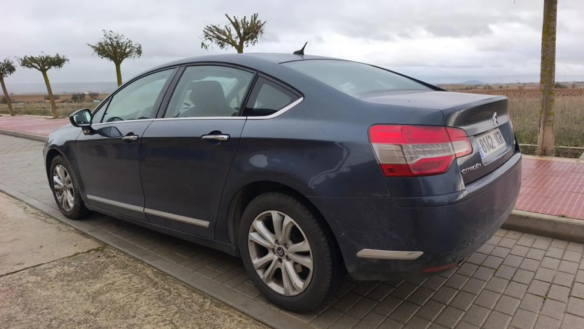 Citroen C5 2.0HDI Business Gris - 2