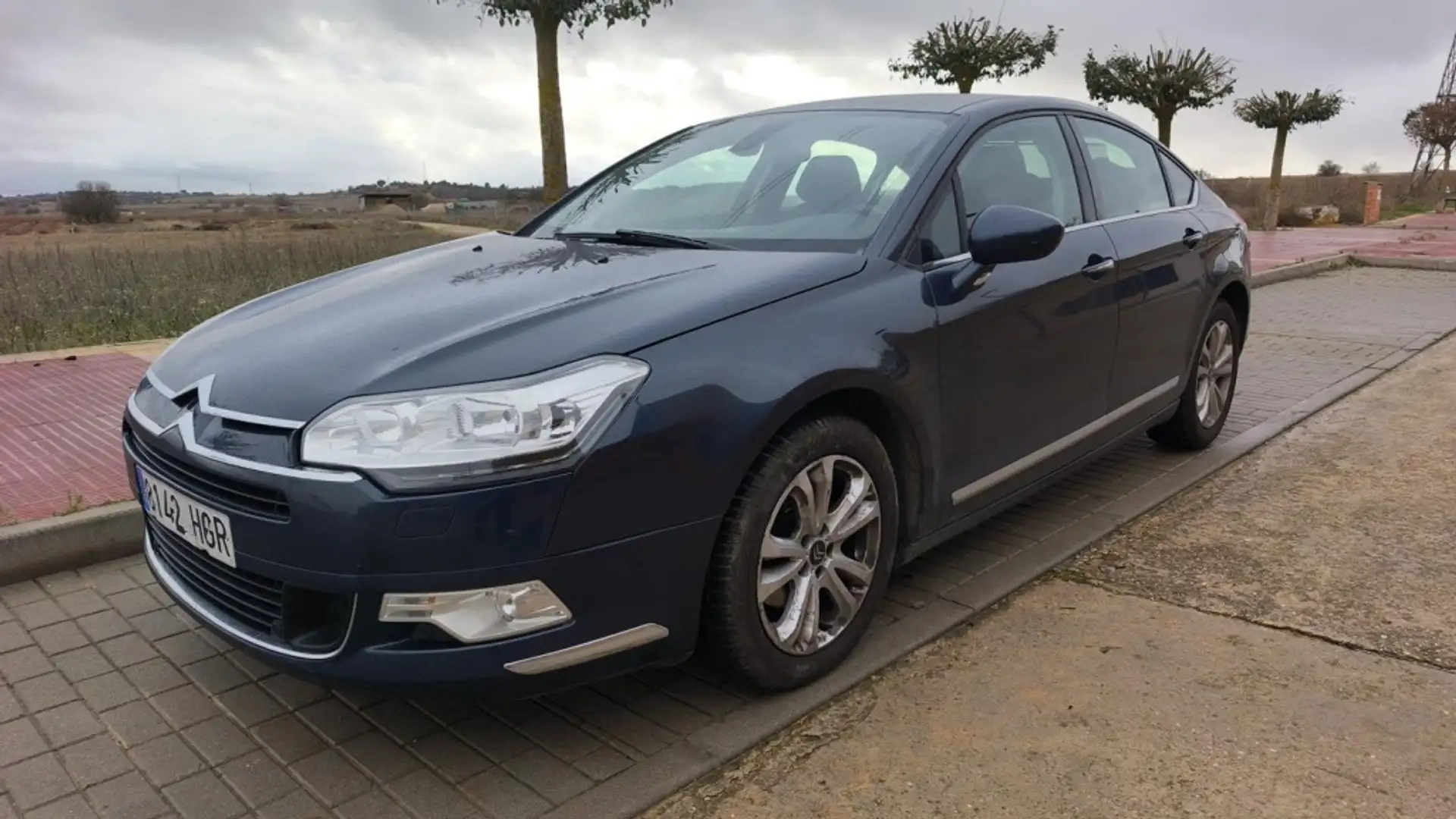 Citroen C5 2.0HDI Business Gris - 1