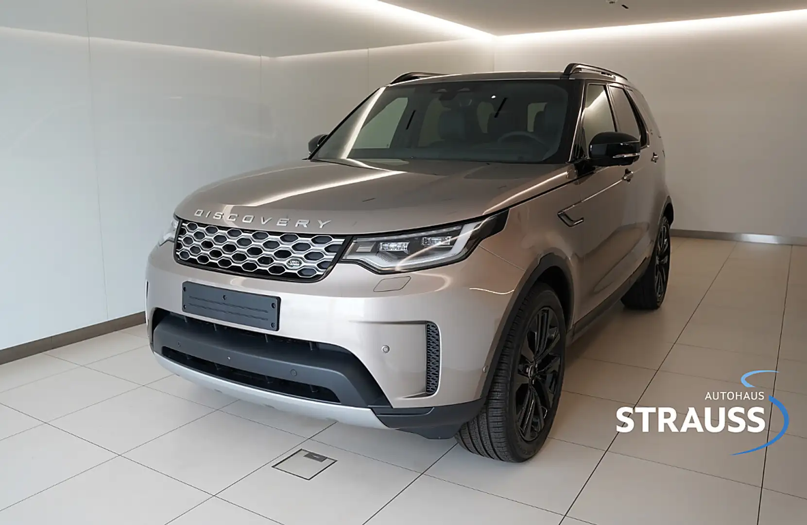 Land Rover Discovery S D250 Braun - 1