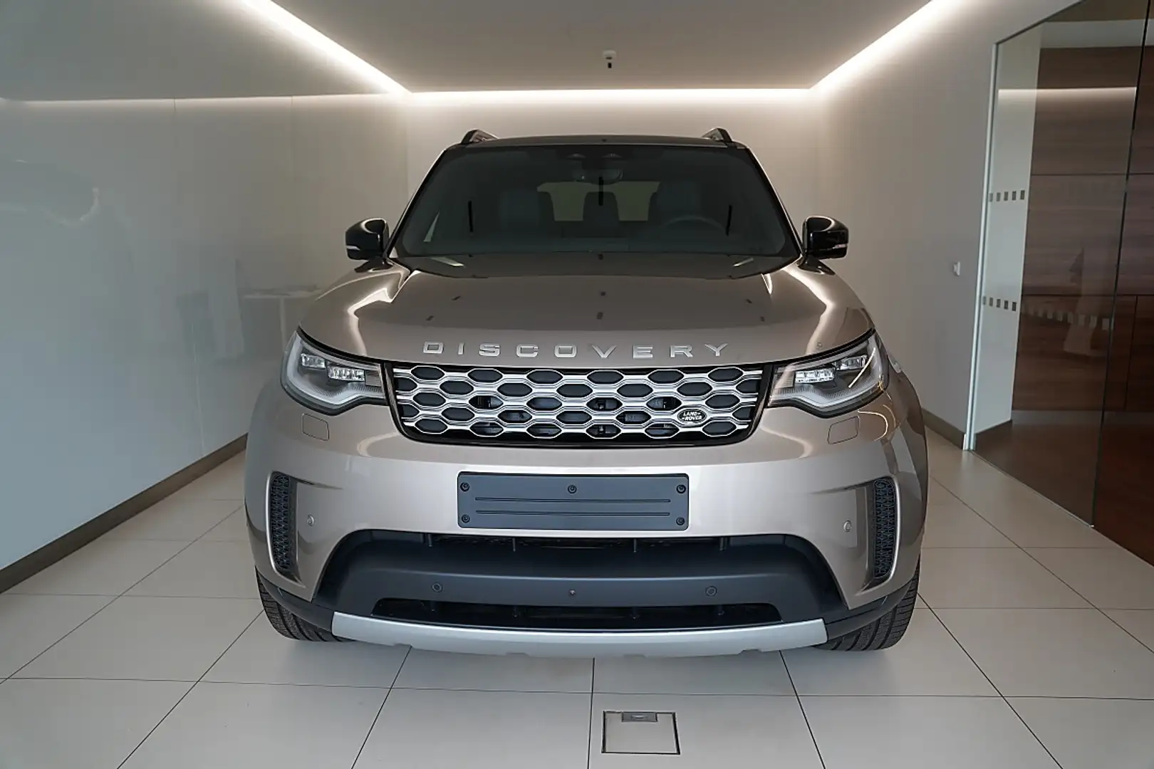 Land Rover Discovery S D250 Braun - 2