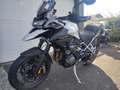 Triumph Tiger 1200 Blanc - thumbnail 1