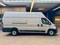 Fiat Ducato 2.2 D L5H3 MAXI AHK KLIMA CAM 3SITZE 3,5t Blanc - thumbnail 12