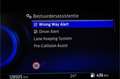Ford Puma 1.0 EcoBoost Hybrid ST-Line  155pk/Winter-pack/Co Grijs - thumbnail 17