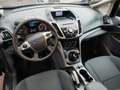 Ford C-Max 1.6 TDCi 115 CV Titanium Grigio - thumbnail 8