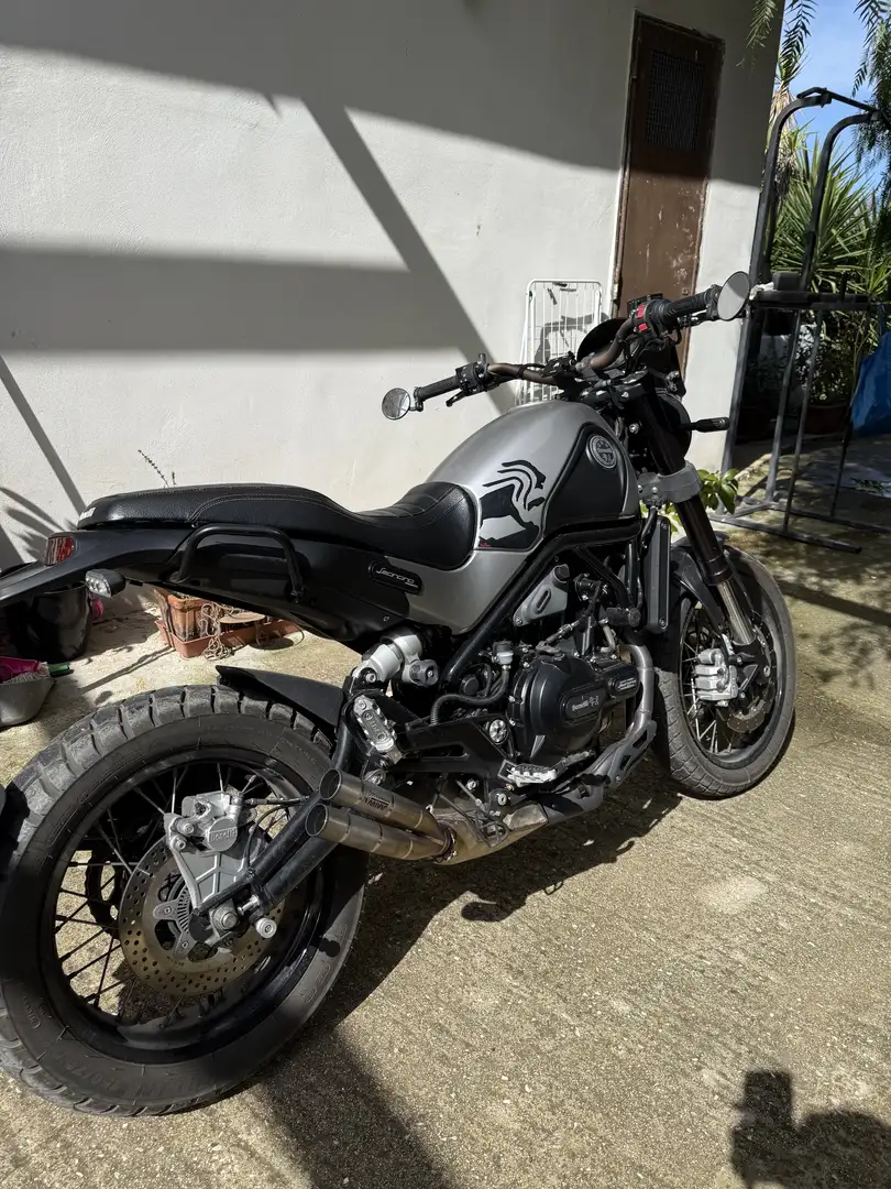 Benelli Leoncino trail - 2