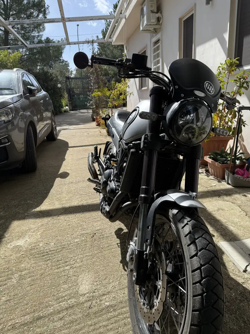 Benelli Leoncino trail - 1