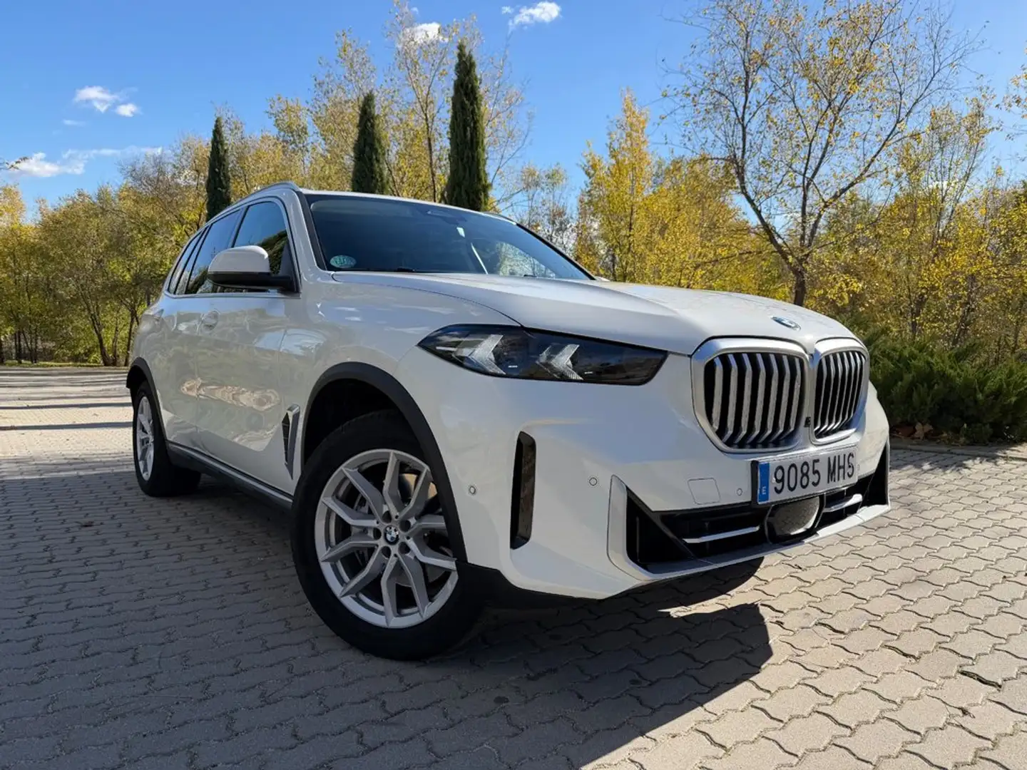 BMW X5 xDrive30d xLine Blanco - 2