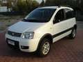Fiat Panda 1.3 MJT 16V 4x4 Climbing- Bianco - thumbnail 3
