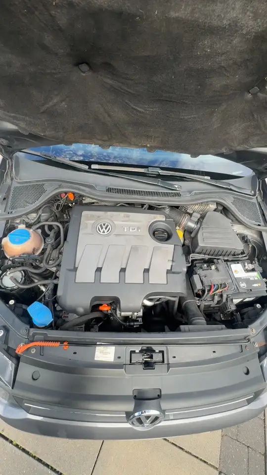 Volkswagen Polo Citadine 5 portes — photo 6