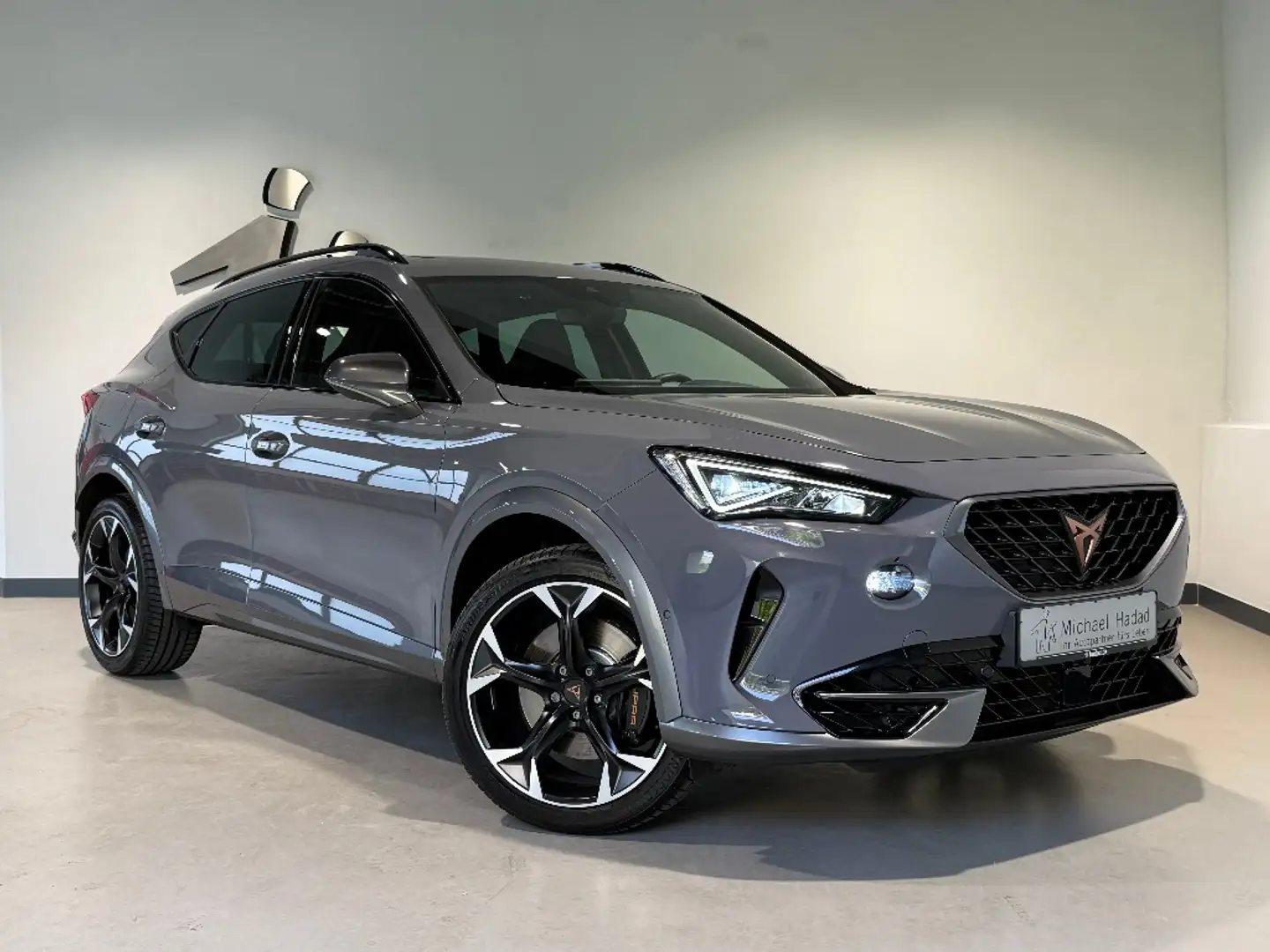 CUPRA Formentor 2.0 TSI VZ 4Drive PANO AHK Grau - 1