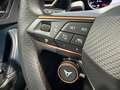 CUPRA Formentor 2.0 TSI VZ 4Drive PANO AHK Grau - thumbnail 13
