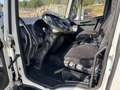 Iveco Eurocargo 75E21 Koffer Ladebordwand Weiß - thumbnail 7