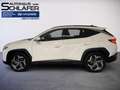 Hyundai TUCSON TUCSON 1.6 T-GDI Trend Plug-In Hybrid 4WD Bianco - thumbnail 7