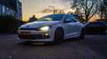 Volkswagen Scirocco 1.4 TSI Highl. Plus, Special Edition, Panorama dak Wit - thumbnail 1