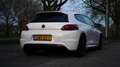 Volkswagen Scirocco 1.4 TSI Highl. Plus, Special Edition, Panorama dak Wit - thumbnail 2