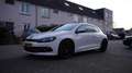 Volkswagen Scirocco 1.4 TSI Highl. Plus, Special Edition, Panorama dak Wit - thumbnail 3