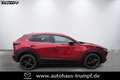 Mazda CX-30 2.5L 140ps Homura Navi Rood - thumbnail 3