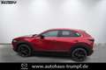 Mazda CX-30 2.5L 140ps Homura Navi Rood - thumbnail 1