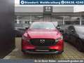Mazda CX-5 2.5L e-SKYACTIV G Automatik Allrad Homura+Lederpak - thumbnail 8