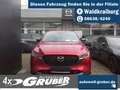 Mazda CX-5 2.5L e-SKYACTIV G Automatik Allrad Homura+Lederpak - thumbnail 1