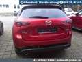 Mazda CX-5 2.5L e-SKYACTIV G Automatik Allrad Homura+Lederpak - thumbnail 4
