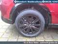 Mazda CX-5 2.5L e-SKYACTIV G Automatik Allrad Homura+Lederpak - thumbnail 6