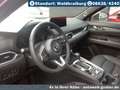 Mazda CX-5 2.5L e-SKYACTIV G Automatik Allrad Homura+Lederpak - thumbnail 9