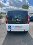 Fiat Doblo Doblò 1.6 MJT X DISABILI Blanc - thumbnail 8