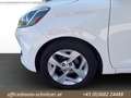 Hyundai i10 1.0 LEVEL 3 (EURO 6d) Weiß - thumbnail 14