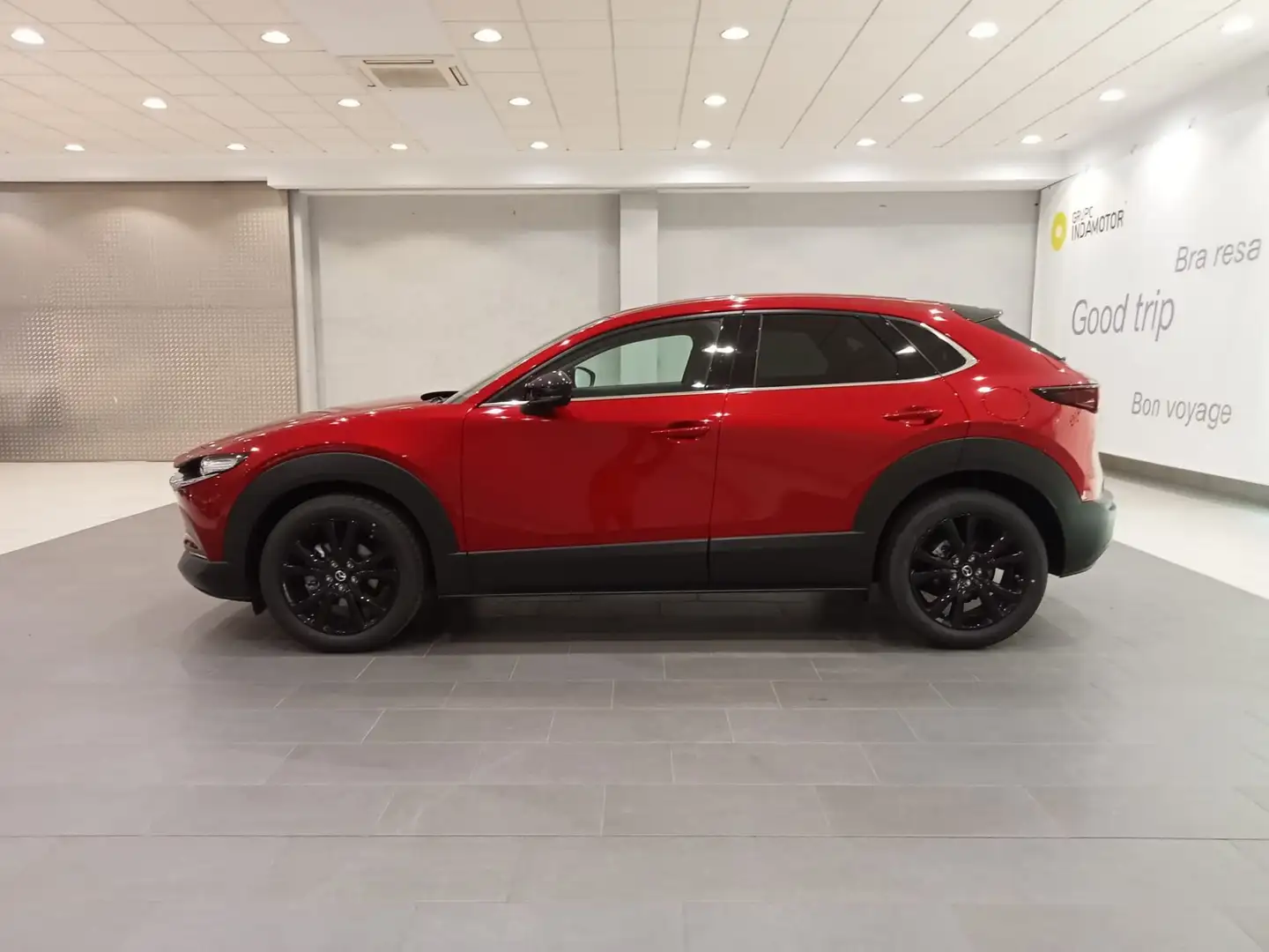 Mazda CX-30 CX30 2.5L e-SKYACTIV G MHEV 103KW 140CV 6MT FWD HO Rojo - 2
