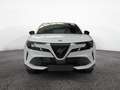 Alfa Romeo Junior Junior 1.2 145 CV Hybrid eDCT6 Junior Basic - Spe - thumbnail 22